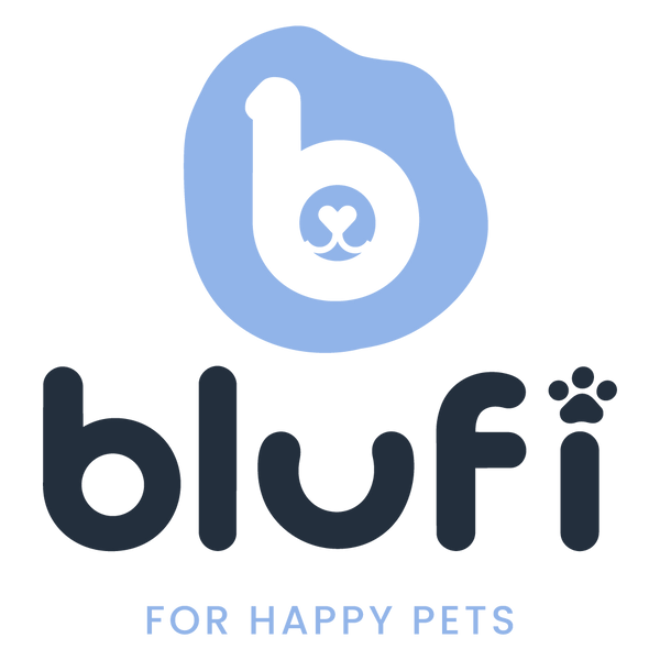 Blufi