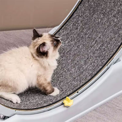 Cat Running Exercise Wheel