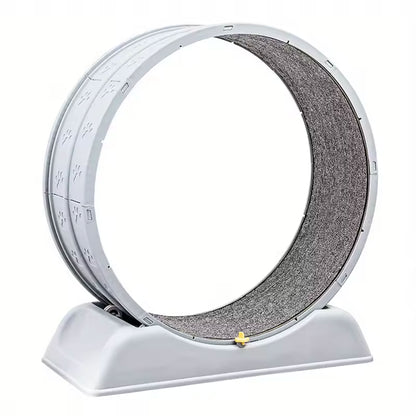 Cat Running Exercise Wheel