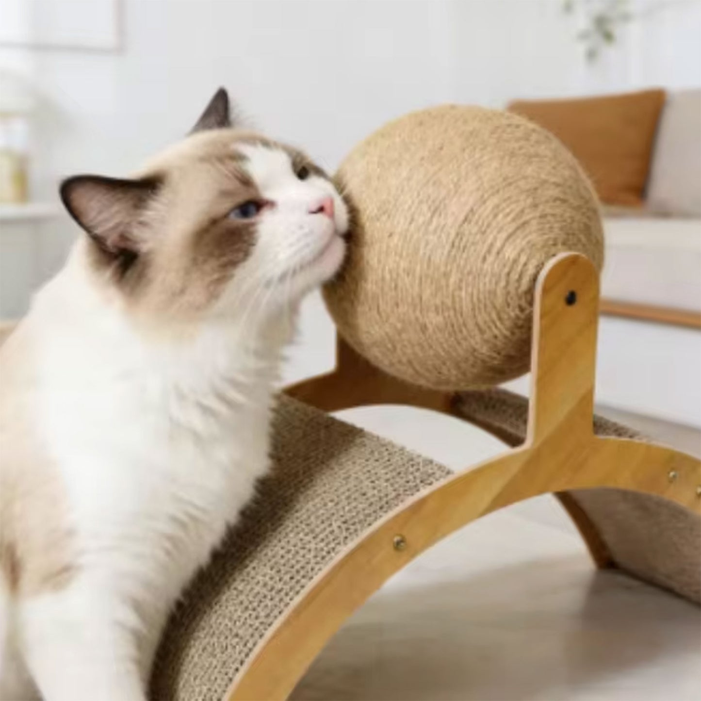Cat Ball Scratching Board with Ball Toy