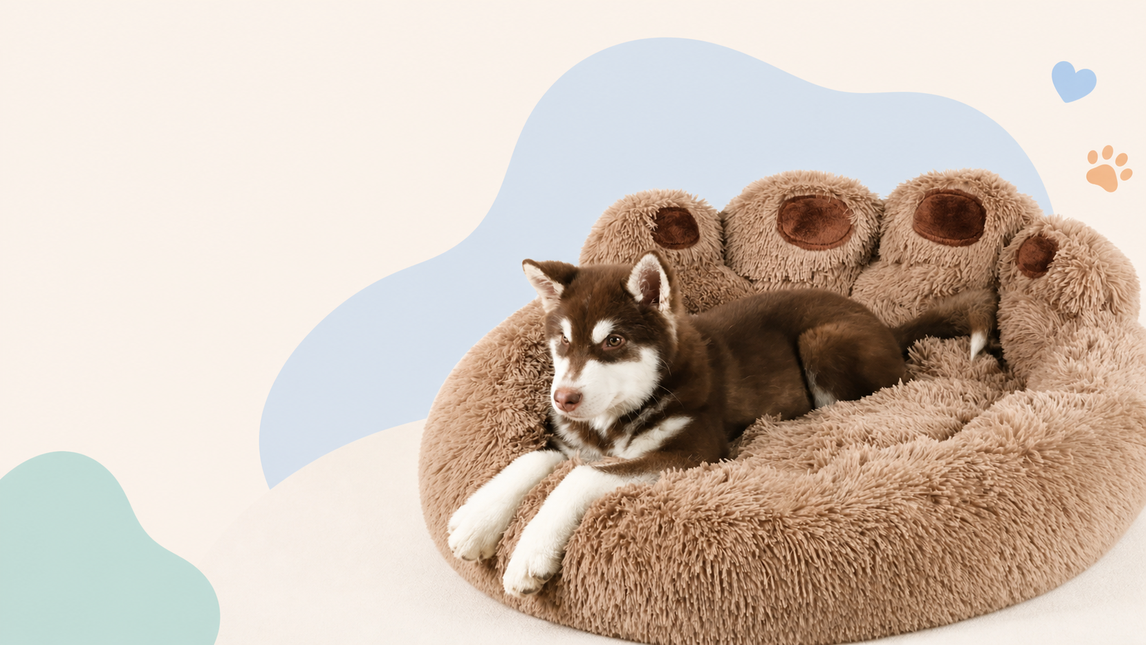 husky puppy on brown paw bed with a blue cloud shaped background with paw icon and heart icon in the top right and green cloud shape in bottom left and bream background