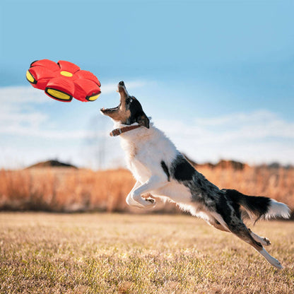 Red Blufi dog frisbee, pet accessory by Shop Blufi, shown on white background with a circular shape and flexible material.